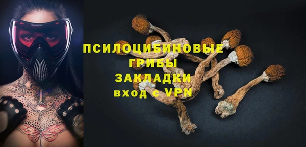 гидра Богданович