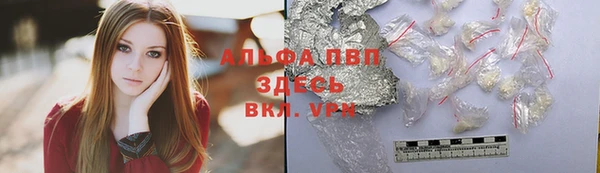 гидра Богданович