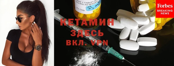 дмт Бородино