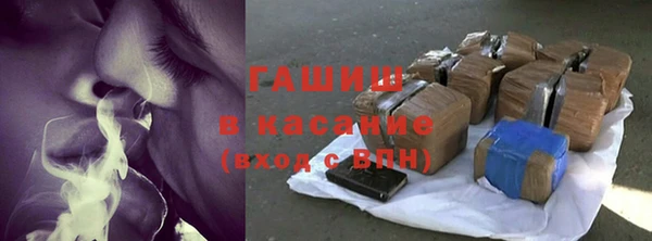 гидра Богданович