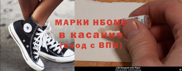 дмт Бородино