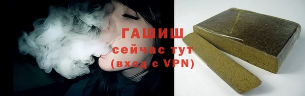 дмт Бородино