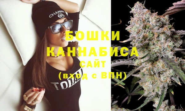 дмт Бородино