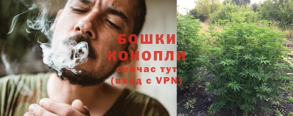 гидра Богданович