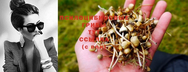 дмт Бородино