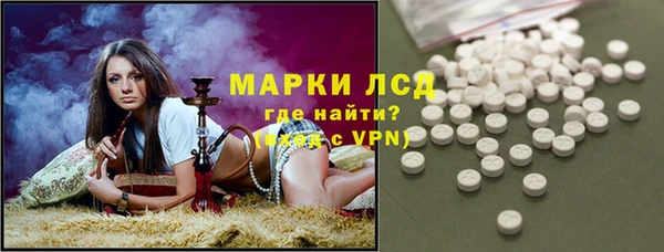 дмт Бородино