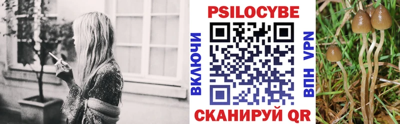 Псилоцибиновые грибы Cubensis  ссылка на мегу зеркало  Шатура 